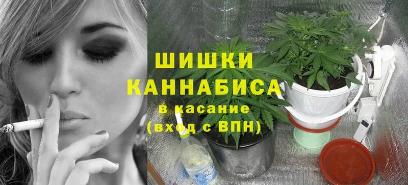 Бошки Шишки тримм  сайты даркнета формула  Кадников 